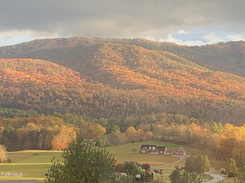 Photo #97: 620 Swift Hollow Lane