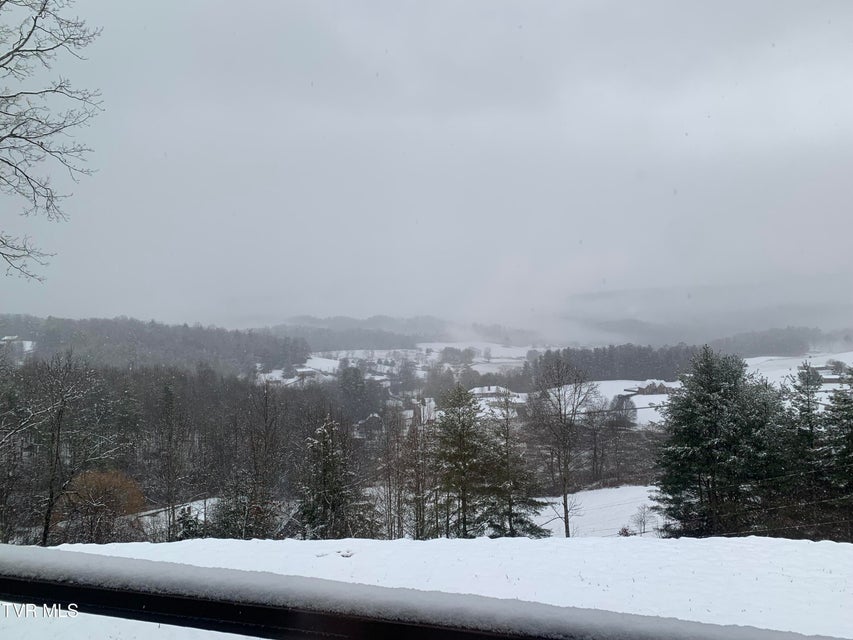 Photo #100: 620 Swift Hollow Lane