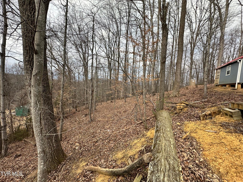 Photo #15: 125 Locust Winds Drive