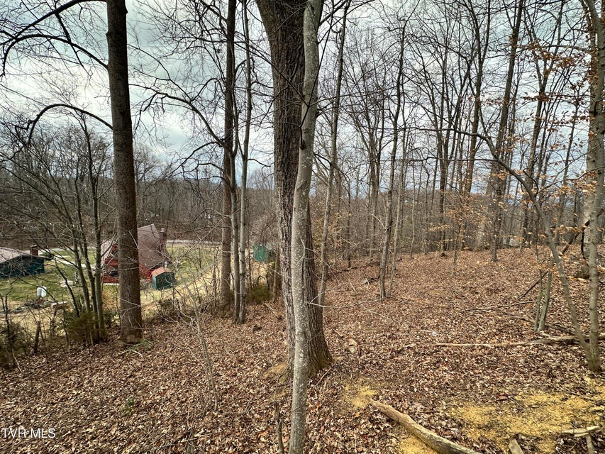 Photo #16: 125 Locust Winds Drive