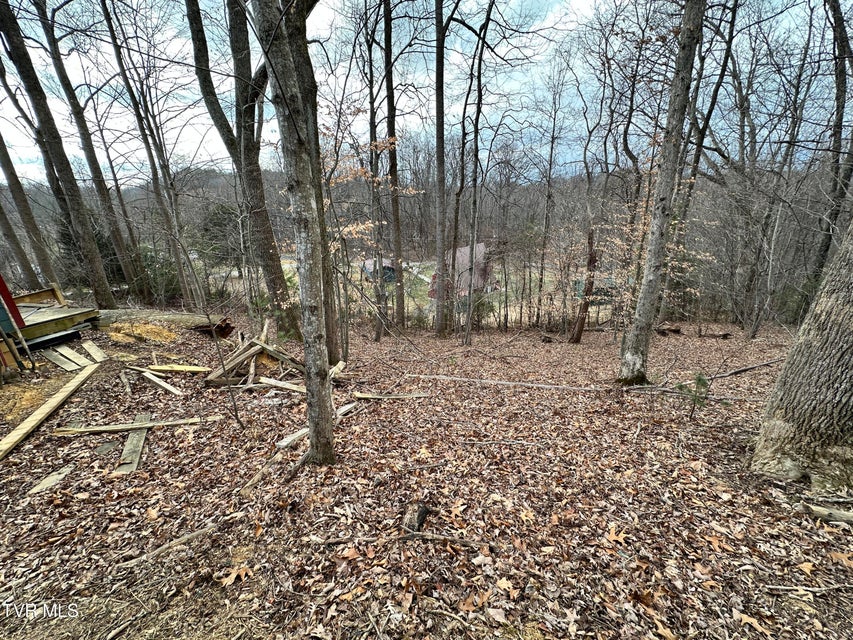 Photo #21: 125 Locust Winds Drive