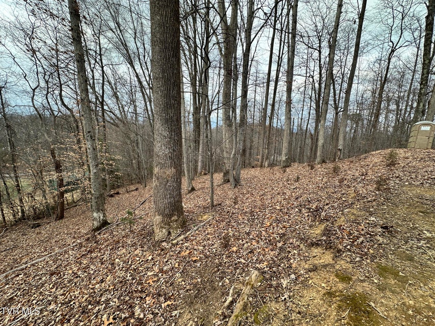 Photo #22: 125 Locust Winds Drive