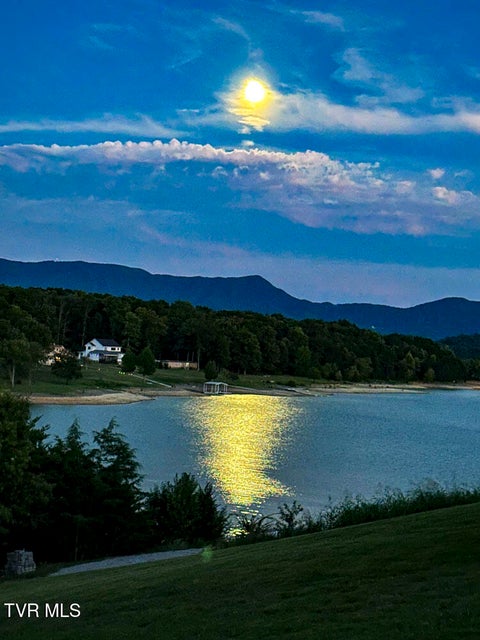 Photo #4: 1964 Harbor Hills Drive