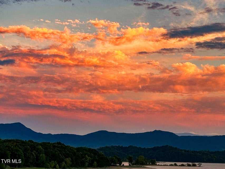 Photo #68: 1964 Harbor Hills Drive