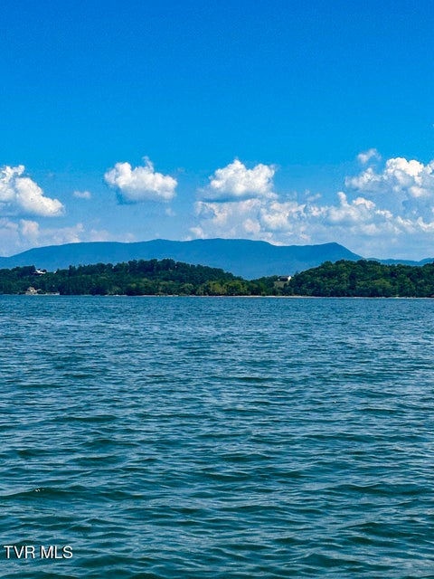 Photo #69: 1964 Harbor Hills Drive