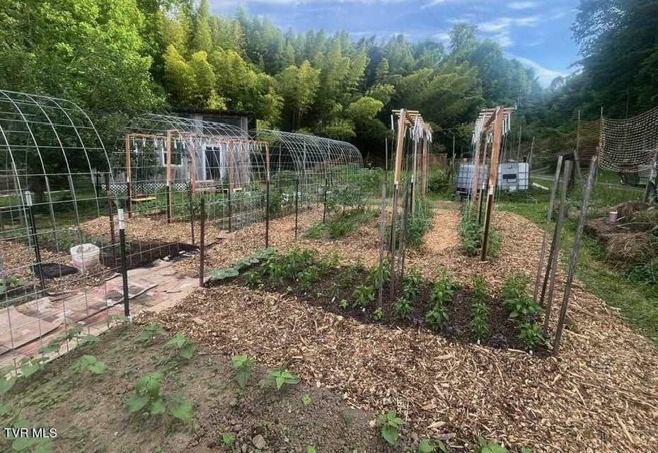 Photo #35: 704 River Road