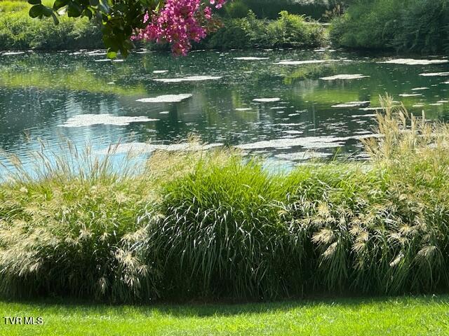 Photo #80: 1815 Waters Edge Drive