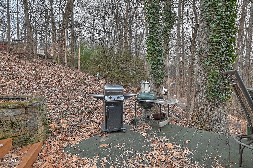 Photo #39: 125 Shirley Street