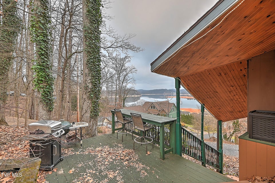 Photo #41: 125 Shirley Street