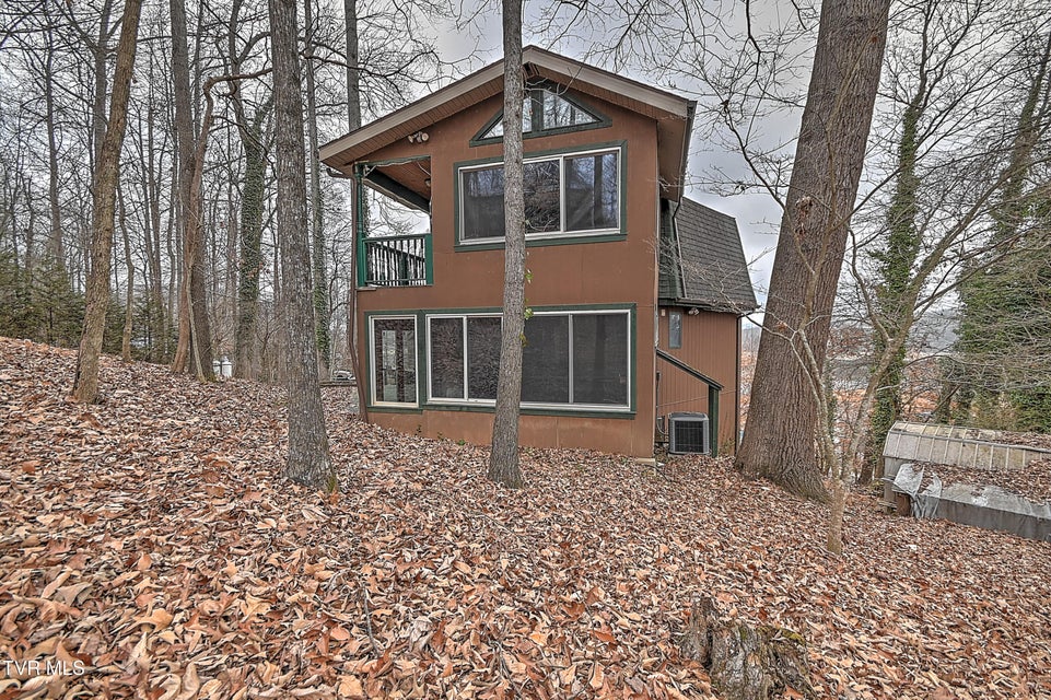 Photo #46: 125 Shirley Street