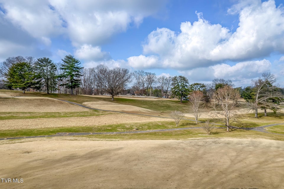 Photo #43: 207 Monroe Drive