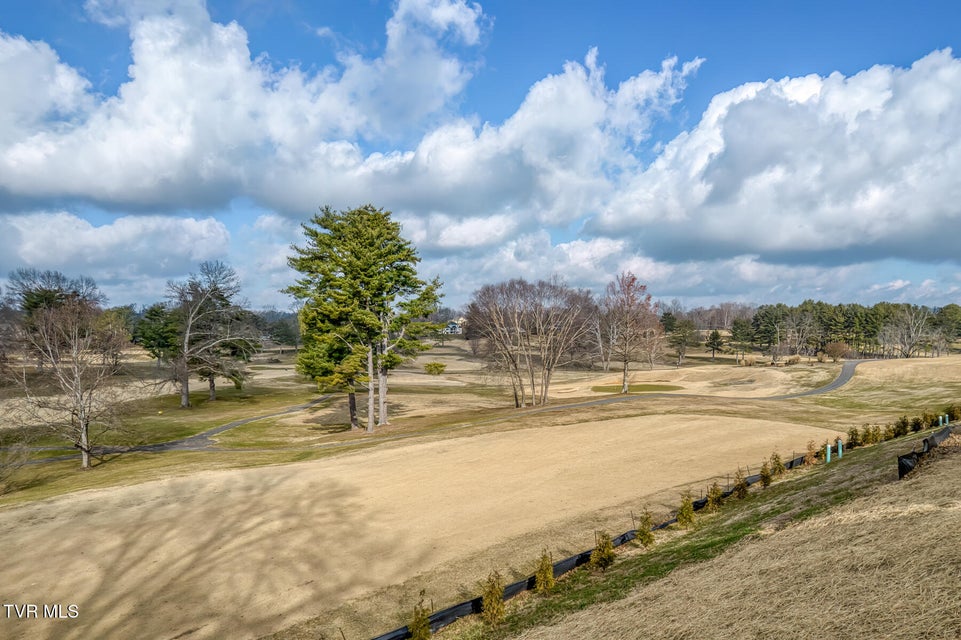 Photo #44: 207 Monroe Drive