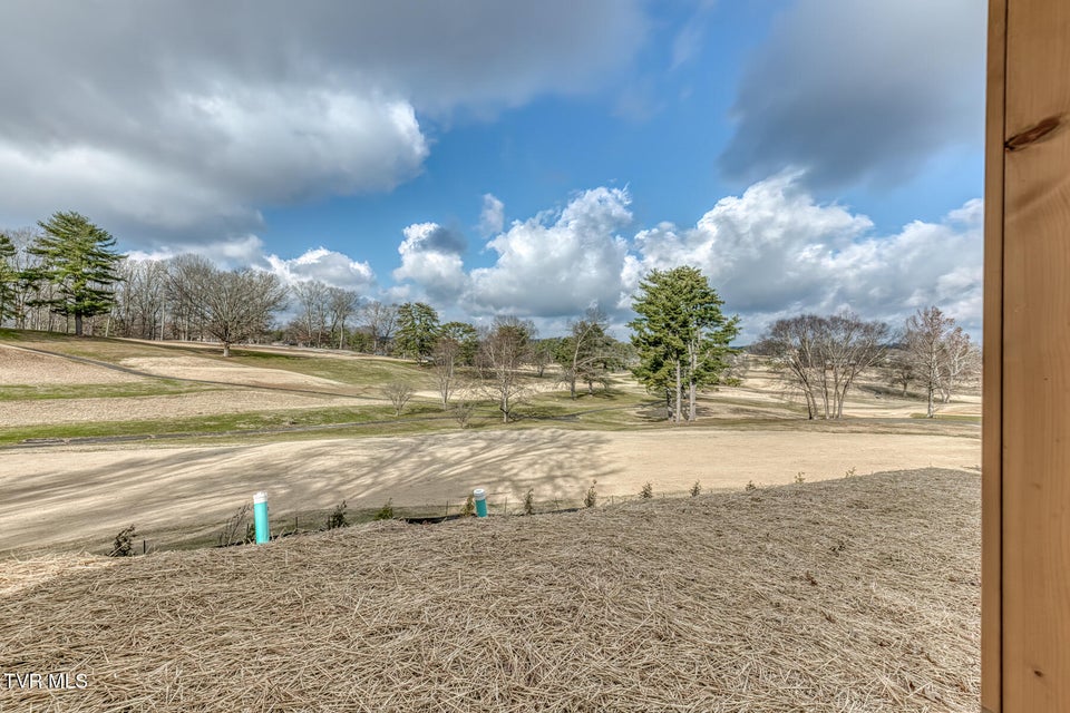 Photo #38: 207 Monroe Drive