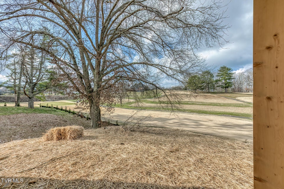 Photo #39: 207 Monroe Drive