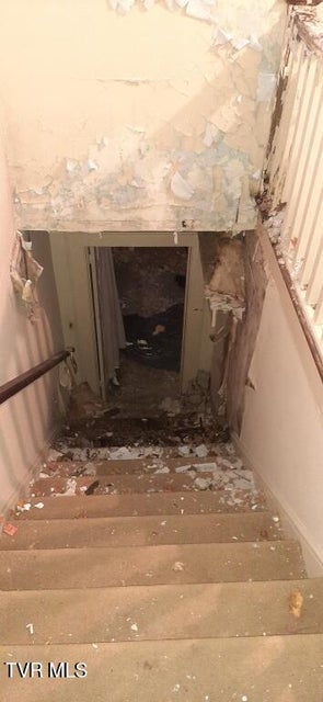 Photo #23: 141 Sevier Avenue