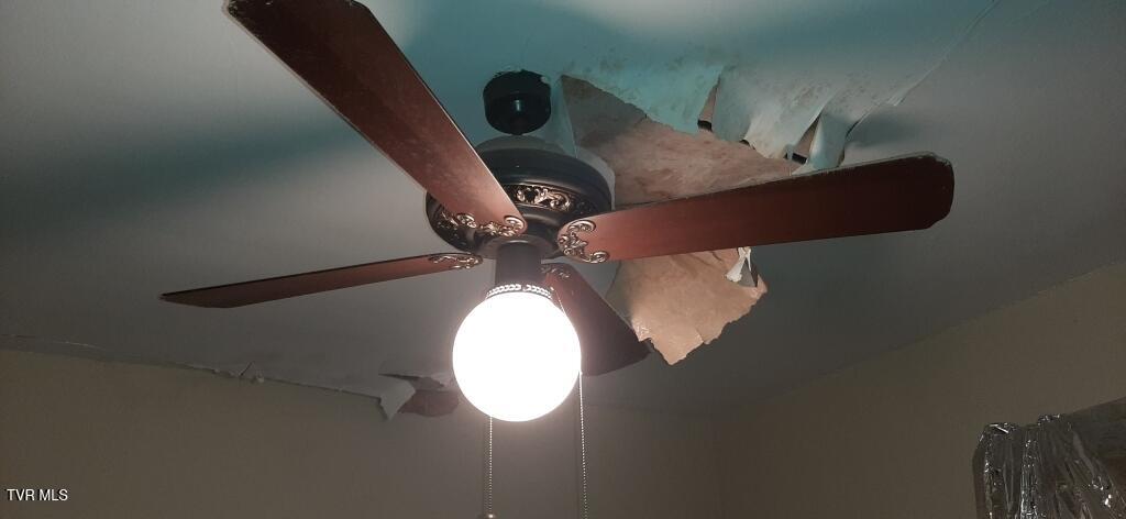 Photo #28: 141 Sevier Avenue