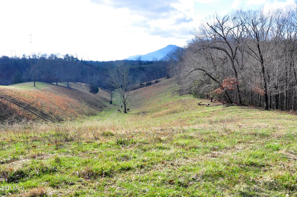 Photo #36: 760 Church Road