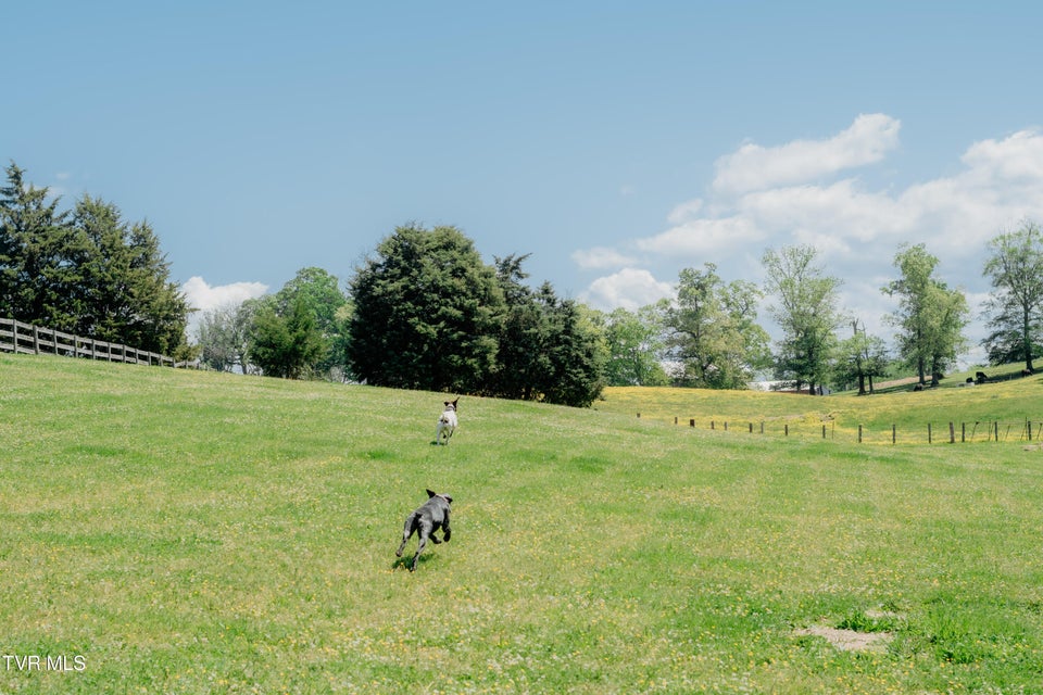 Photo #5: 3220 Knob Creek Road