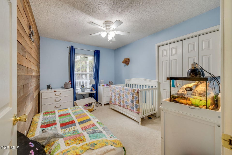 Photo #20: 468 Old Embreeville Road