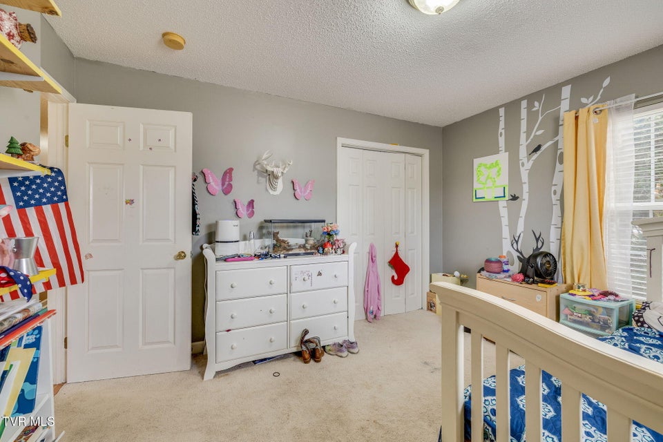 Photo #18: 468 Old Embreeville Road