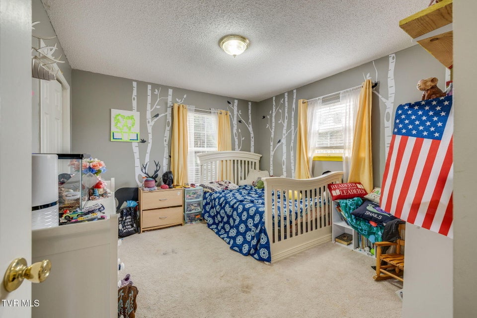 Photo #17: 468 Old Embreeville Road