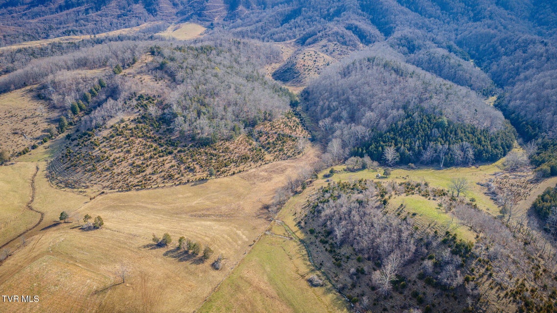 Photo #3: Tbd Clinch Mountain Road