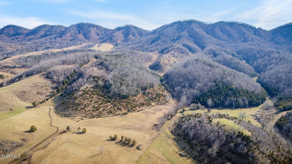 Photo #4: Tbd Clinch Mountain Road
