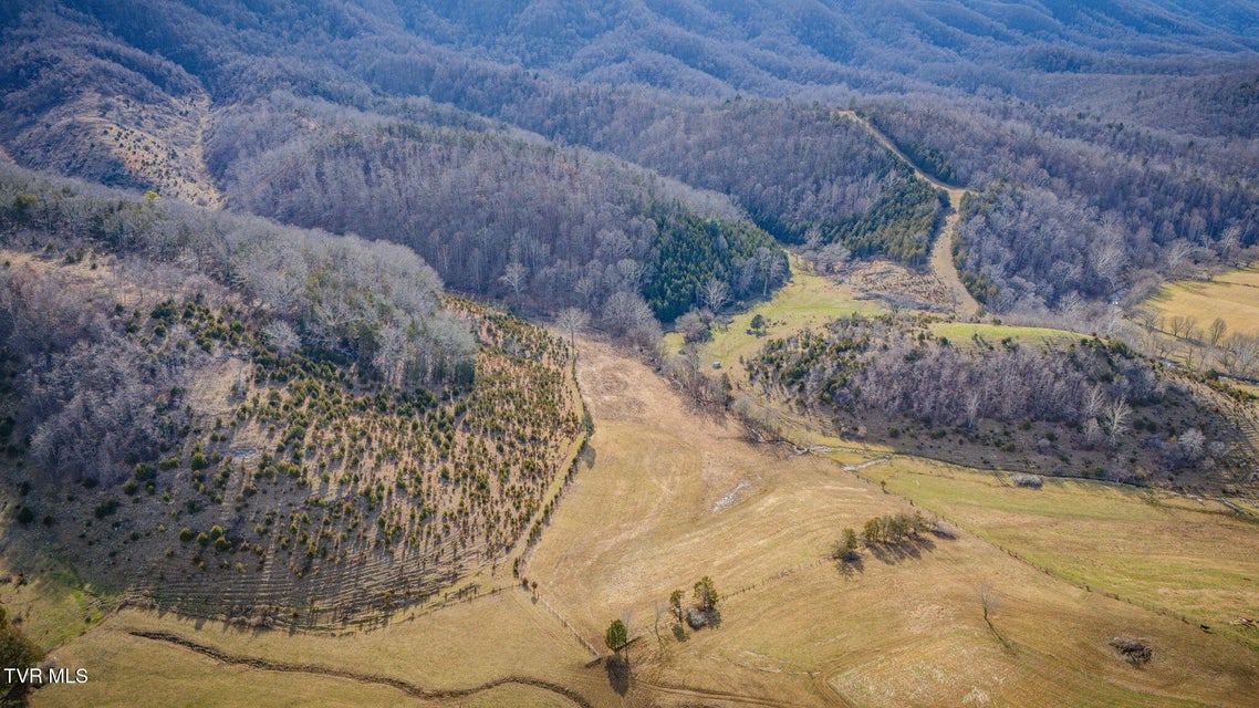 Photo #5: Tbd Clinch Mountain Road