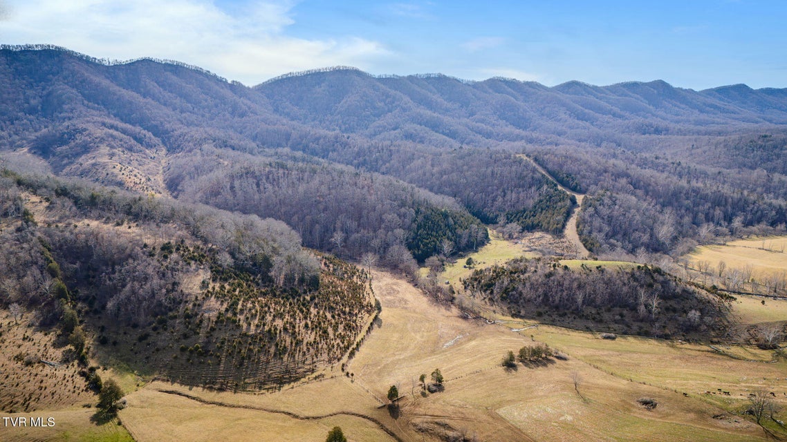 Photo #6: Tbd Clinch Mountain Road
