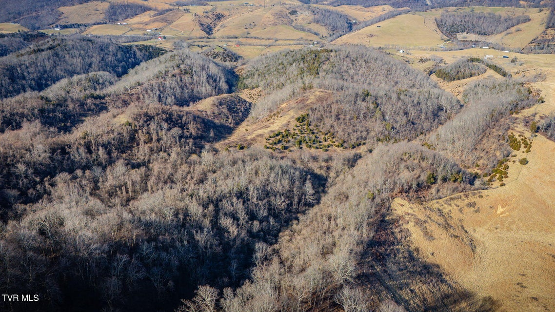 Photo #9: Tbd Clinch Mountain Road