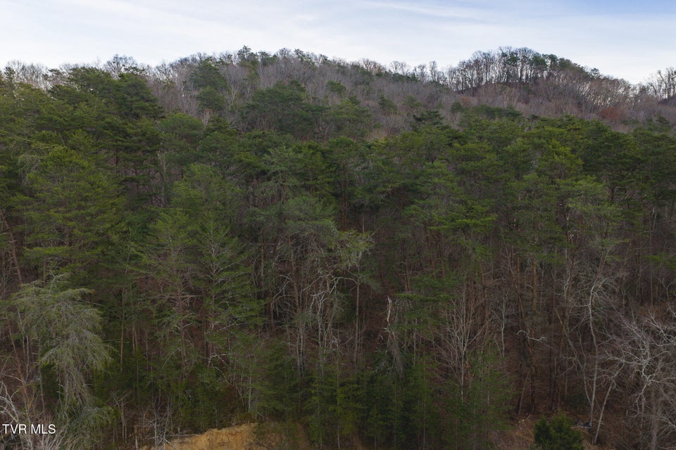 Photo #12: 1655 Lester Whitt Road