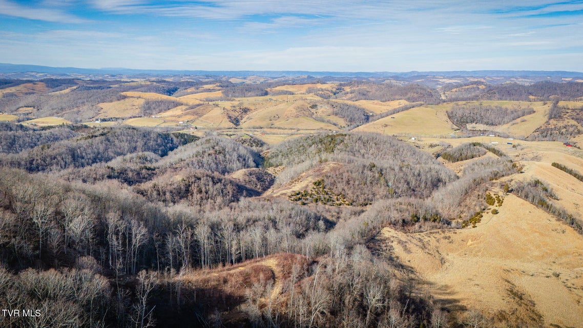 Photo #7: Tbd Clinch Mountain Road
