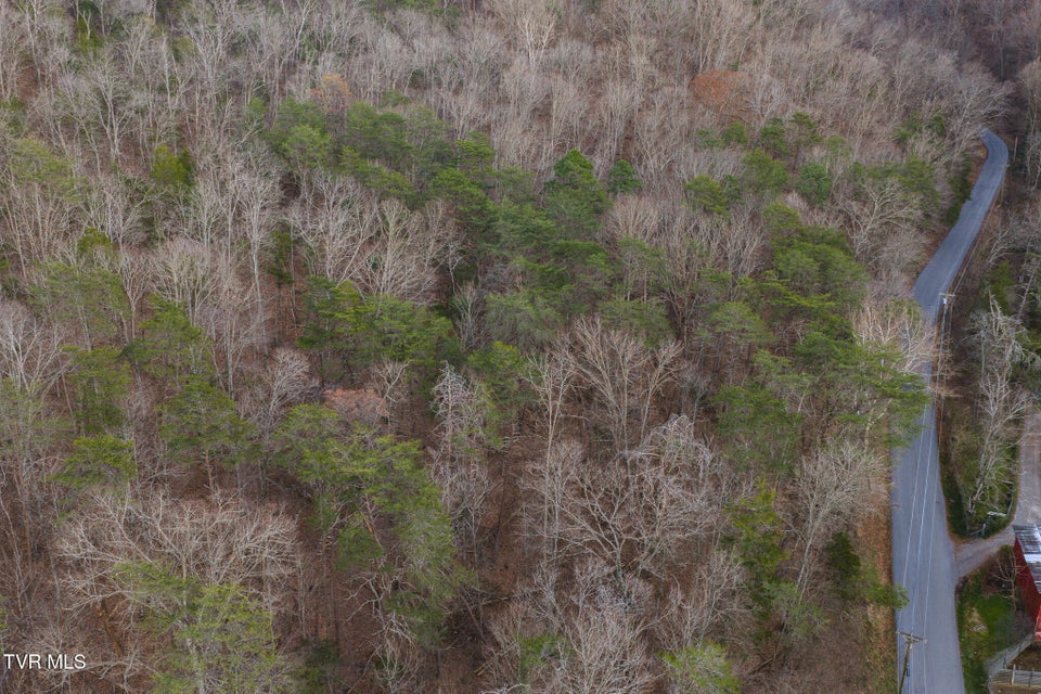 Photo #13: 1655 Lester Whitt Road