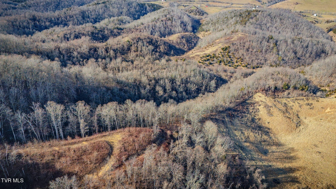 Photo #10: Tbd Clinch Mountain Road
