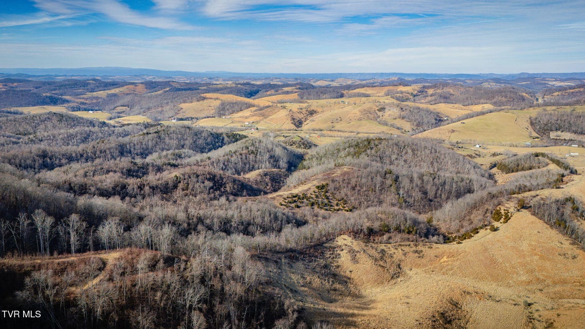 Photo #8: Tbd Clinch Mountain Road
