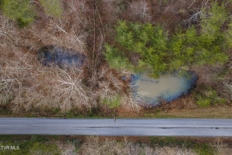 Photo #3: 1655 Lester Whitt Road