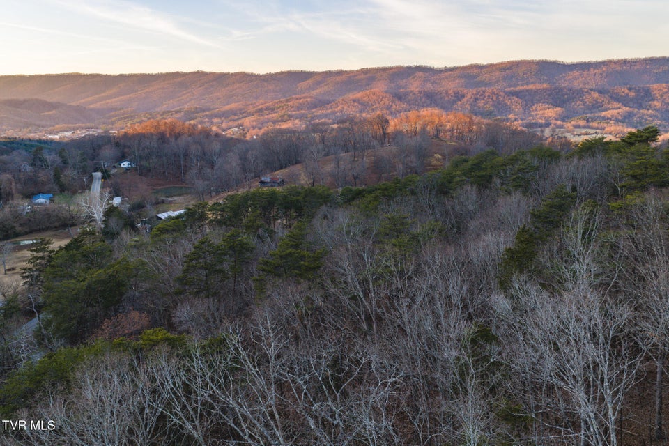 Photo #14: 1655 Lester Whitt Road