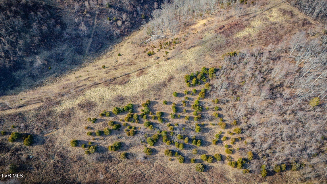 Photo #14: Tbd Clinch Mountain Road