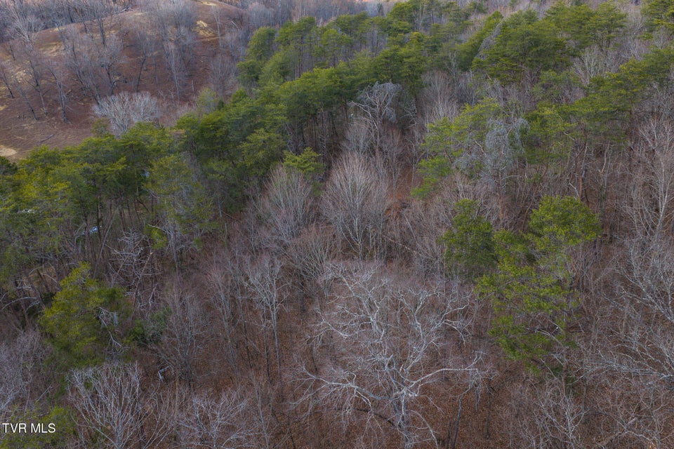 Photo #15: 1655 Lester Whitt Road