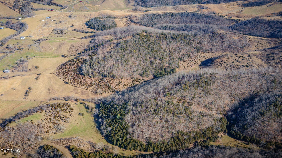 Photo #13: Tbd Clinch Mountain Road