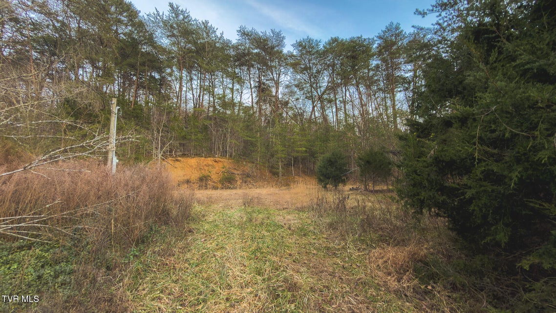 Photo #5: 1655 Lester Whitt Road