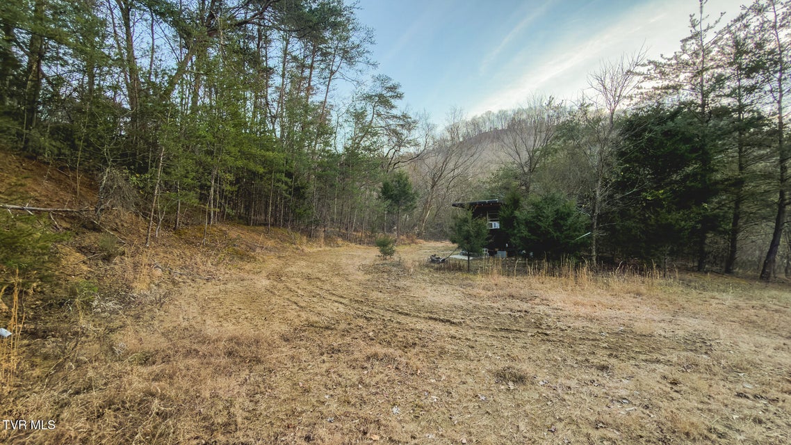 Photo #8: 1655 Lester Whitt Road
