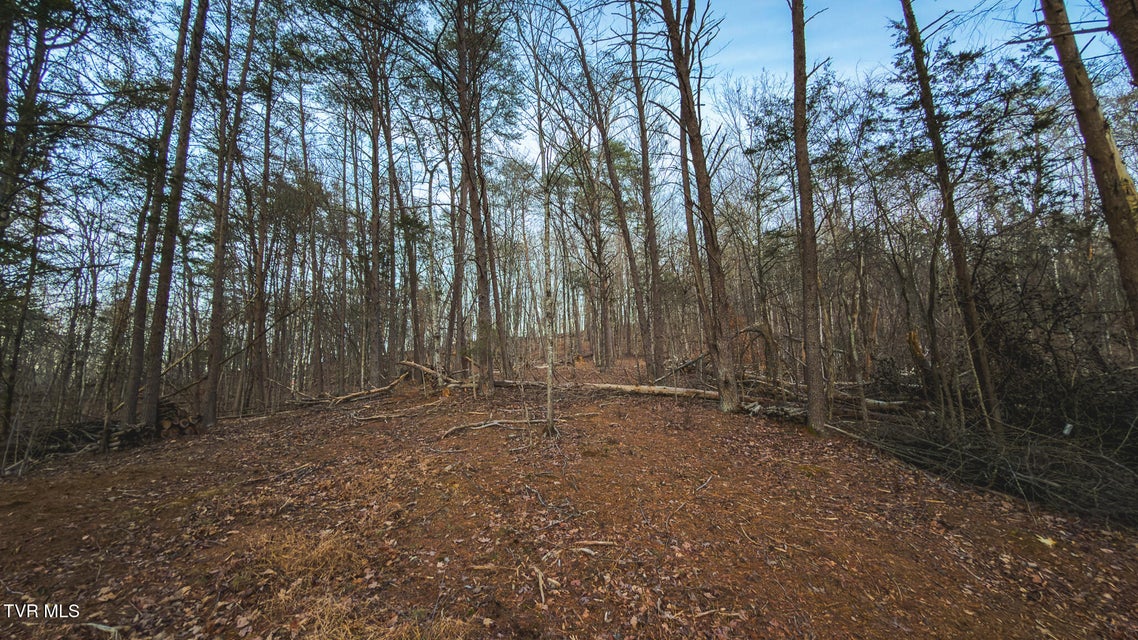 Photo #27: 1655 Lester Whitt Road