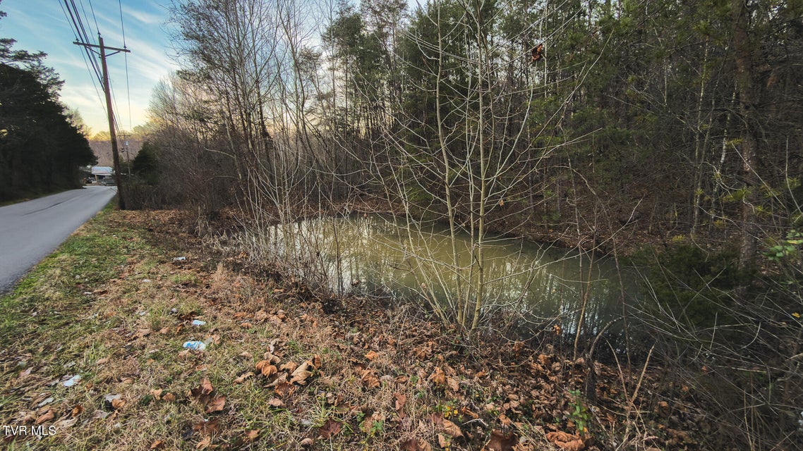 Photo #32: 1655 Lester Whitt Road