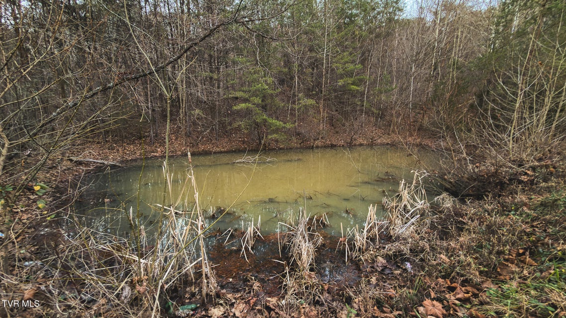 Photo #33: 1655 Lester Whitt Road