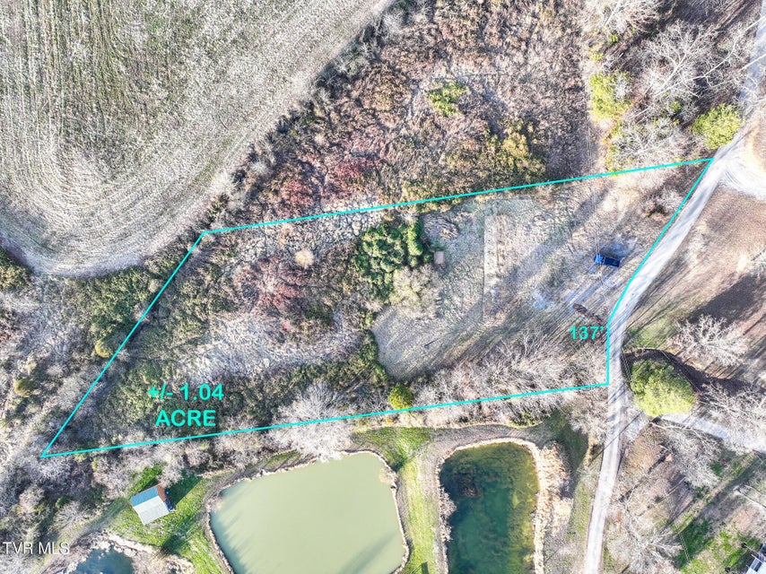 Photo #13: 138 Logan Lane