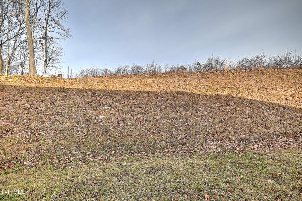 Photo #38: 127 Allison Timbers Road