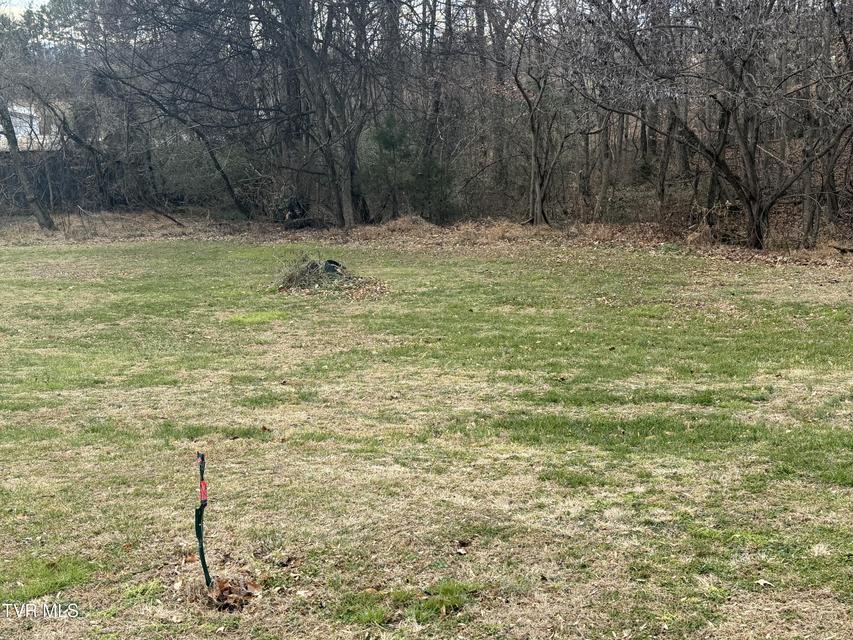 Photo #3: Tbd Lot 2 Matson Road