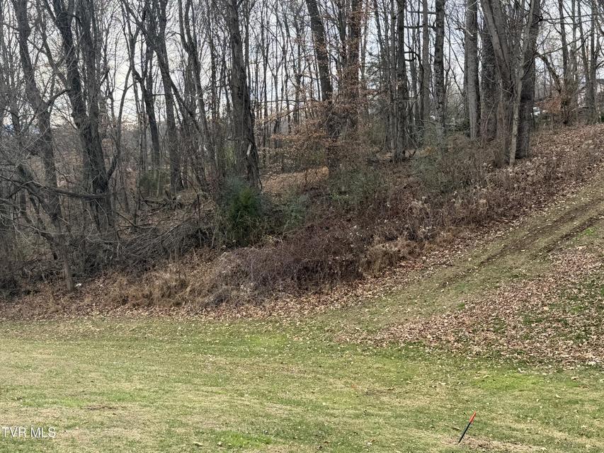 Photo #4: Tbd Lot 2 Matson Road