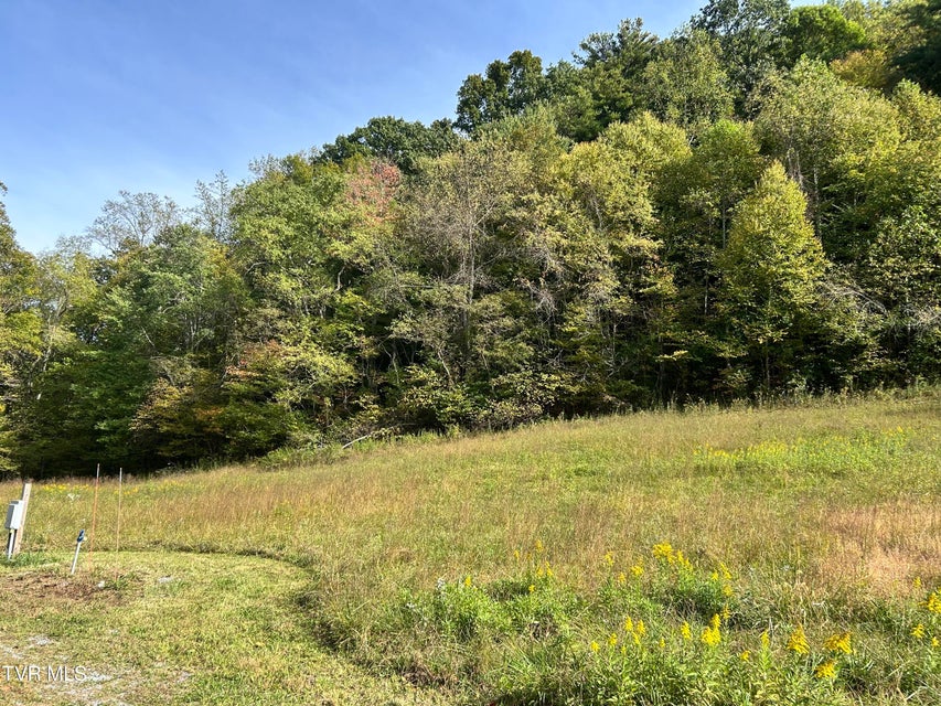 Photo #7: 166 Holston Mountain Road